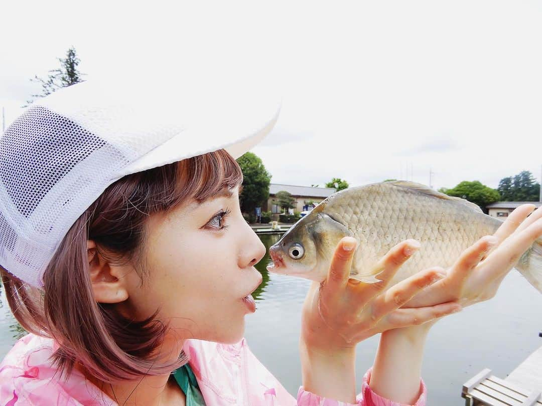 宮崎まこさんのインスタグラム写真 - (宮崎まこInstagram)「🌈告知🌈 . 新聞🗞週刊へらニュース . . 【終面カラー】 宮崎まこの一期一景・友部湯崎湖(茨城) ———————————– 梅雨真っ只中での唯一晴れた取材！ 釣果はいかに？！ . . 記事も私が全て書いています♪ 通勤途中の駅構内が見つけやすいです。 . 土曜までの発売なので早めにゲットしてね！ . ———————————– ✏️購入方法✏️ . . 駅売店、コンビニ、釣具店等でお求めください。 2019年7月26日号は7月22日(月)発売 300円（本体価格278円） . ↓↓↓いばナビ↓↓↓ .  https://ibanavi.net/contents/kasisu/32/ . . ↑↑↑チェック↑↑↑ . . #潮来 #潮来釣り女子部 #ピンクアッシュ #釣りガール #釣り #アウトドアファッション #海釣り  #釣果 #jackall #きょコ #ootd #バサー #海 #ブラックバス #ジャッカル #youtuber #shimano #fishinglife  #釣り部 #釣り好き  #茨城 #ヘラブナ #へら鮒  #f4f #アウトドア好き  #渓流釣り #ルアー #リグ #バス釣り」7月26日 3時40分 - makomiyazaki