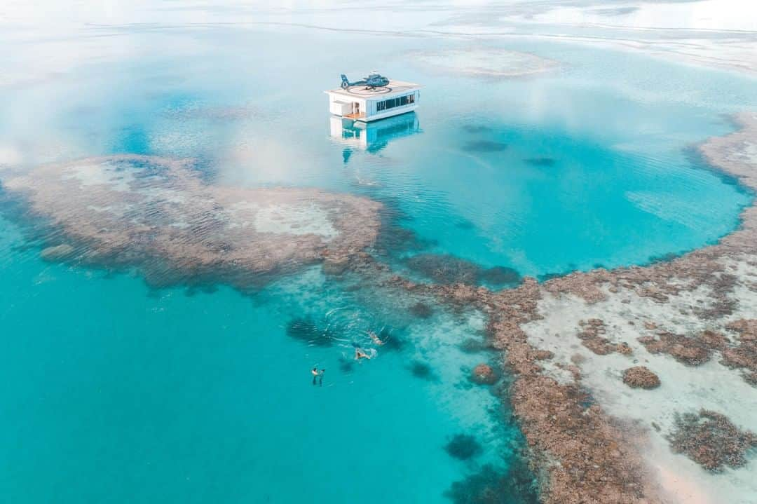 Australiaさんのインスタグラム写真 - (AustraliaInstagram)「A chopper ride to a private pontoon in the middle of the #GreatBarrierReef? @hamiltonisland is making all our James Bond dreams come true! 😎 @saltywings captured this surreal scene at @whitsundaysqld’s #HeartIsland. After flying over #WhitehavenBeach and #HillInlet with @hamiltonislandair, you’ll land on the pontoon where a breathtaking outlook over @gbrmarinepark, and light drinks and nibbles are waiting for you. Go on a boat ride around the famous #HeartReef, swim and snorkel in the lagoon, and truly take in this only-in-@queensland moment - you can’t find it anywhere else!  #seeaustralia #thisisqueensland #lovewhitsundays #hamiltonisland #greatbarrierreef #heartreef」7月26日 4時00分 - australia