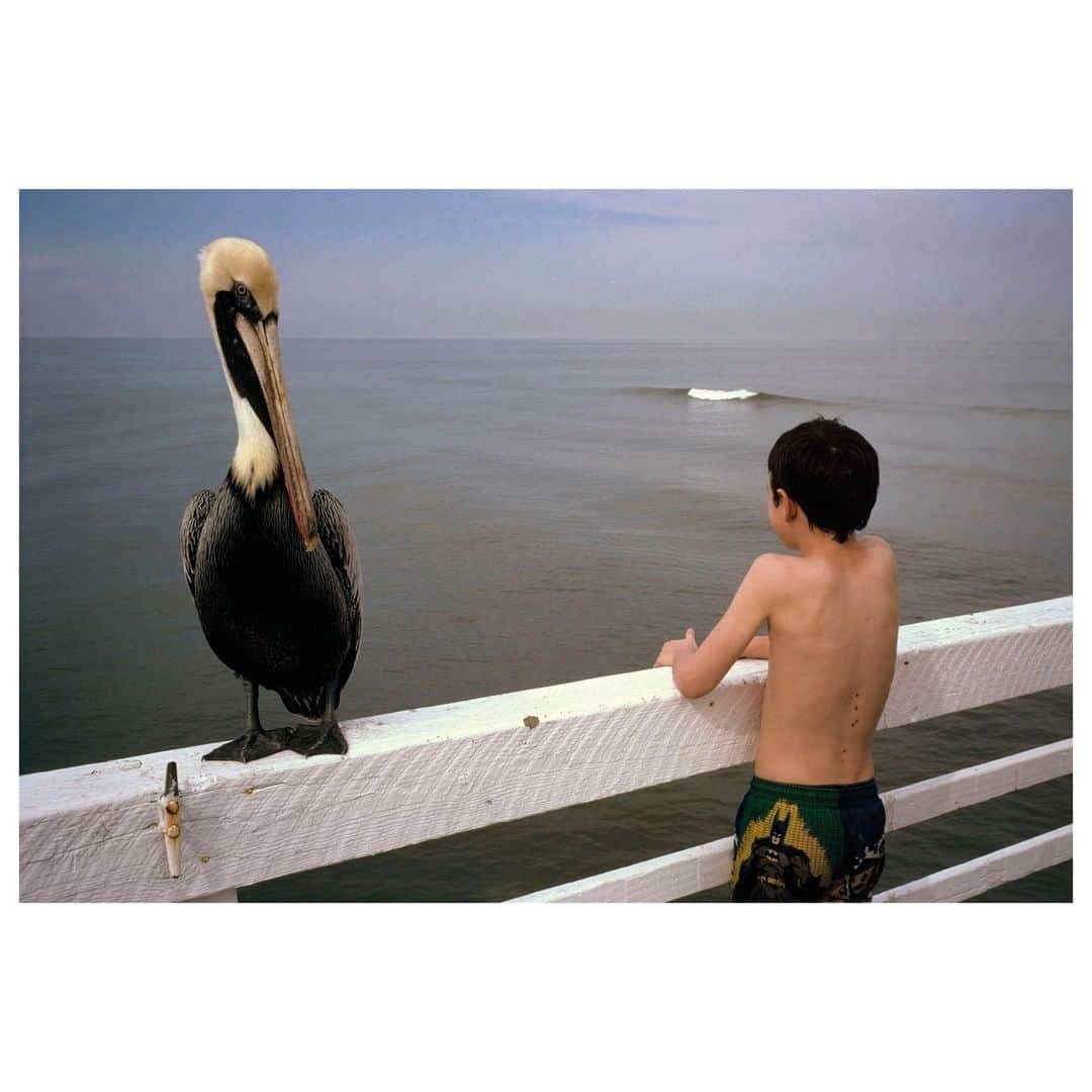 Magnum Photosさんのインスタグラム写真 - (Magnum PhotosInstagram)「From Bruce Gilden's Coney Island to Constantine Manos' work in Florida, the 'Life by the Sea' poster collection brings together a collection of work by Magnum photographers exploring identity through society at leisure and the pursuit of pleasure. . The curation of posters is available now on shop.magnumphotos.com. . PHOTO: Daytona, Beach. Florida. USA. 1997. . © #ConstantineManos/#MagnumPhotos . #DaytonaBeach #Florida #streetphotography」7月26日 4時01分 - magnumphotos