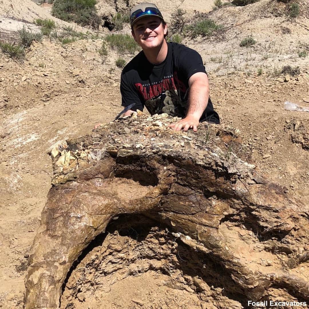 ABC Newsさんのインスタグラム写真 - (ABC NewsInstagram)「Biology student helps discover 65-million-year-old Triceratops skull named 'Alice' in North Dakota—fulfilling a childhood dream of working with dinosaurs. #dinosaur #paleontology #science #triceratops」7月26日 4時59分 - abcnews