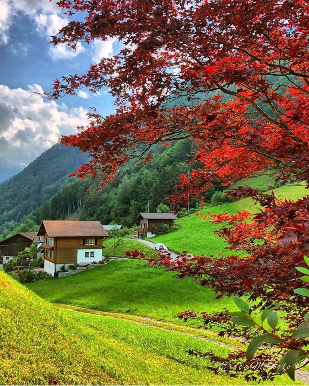 Wonderful Placesさんのインスタグラム写真 - (Wonderful PlacesInstagram)「Lake Lungern - Switzerland ✨❤️❤️❤️✨ . Picture by ✨✨@swissmonamour✨✨ #wonderful_places for a feature ❤️」7月26日 5時32分 - wonderful_places