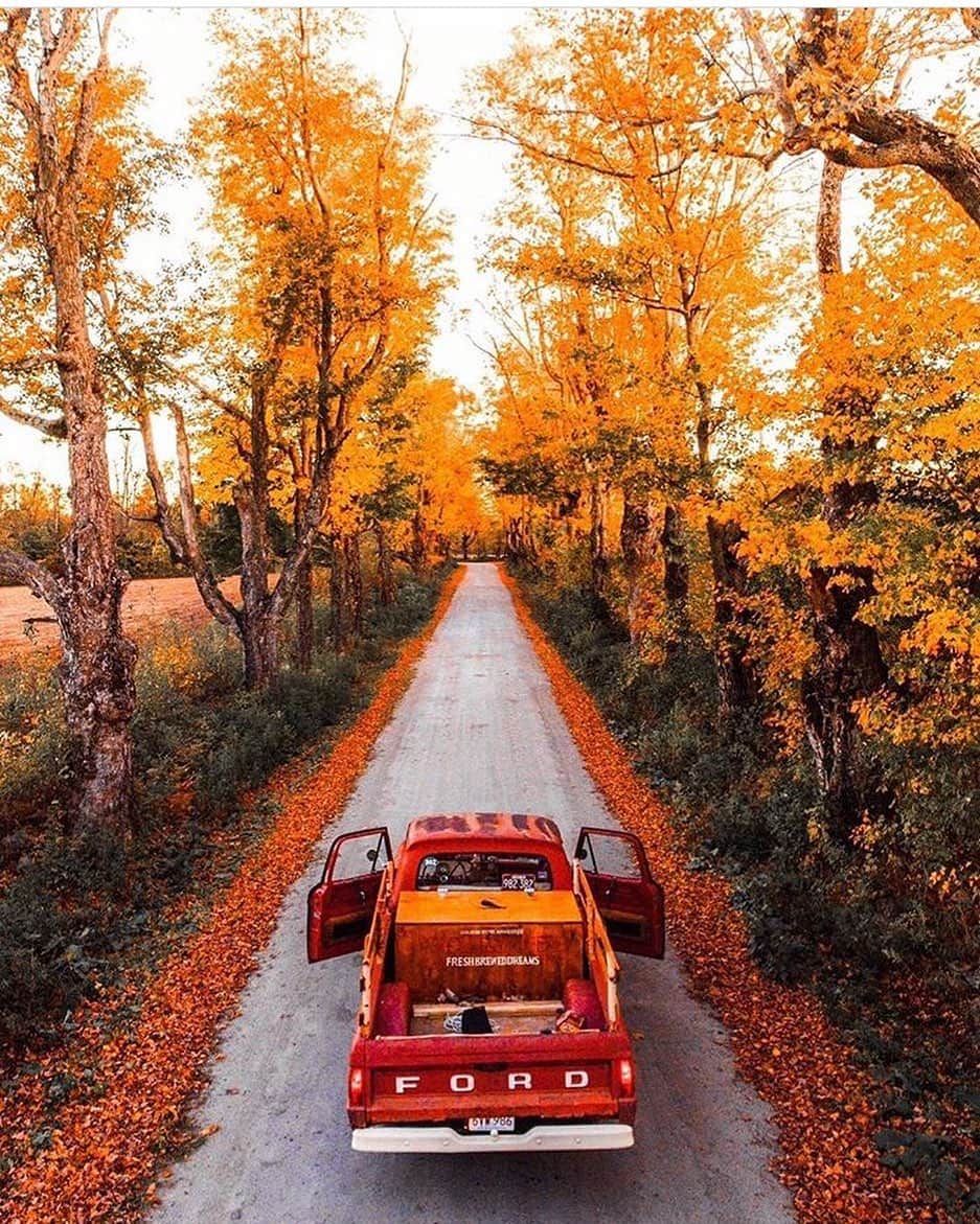 FOLKさんのインスタグラム写真 - (FOLKInstagram)「Y’all our fall issue comes out in just over a month. If you’d like to submit a submission to be included in the issue please email this week. editor@folklifestyle.com. Photo by @kylefinndempsey #autumn #fall #psl.」7月26日 5時43分 - folkmagazine