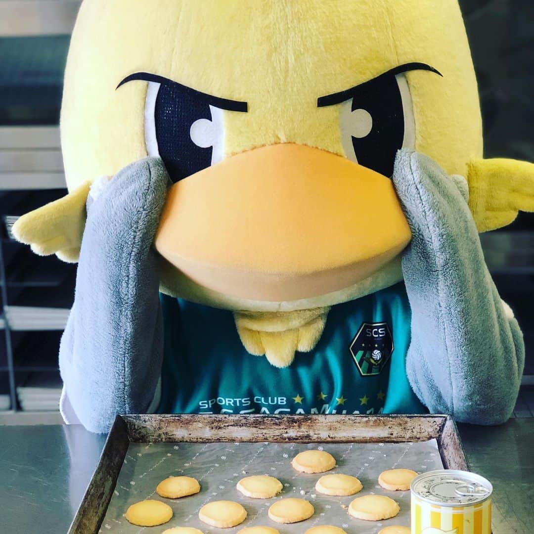 SC相模原のグルメインスタ