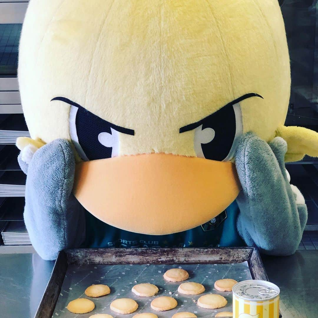 SC相模原さんのインスタグラム写真 - (SC相模原Instagram)「ココア味のガミティクッキー新発売🍪"ε(`•⊖•´)з" プレーンも美味しかったけど ココアはもっと美味しかったよ💛 みんなはどっちが好きかな？🍪 #ガミティ#クッキー#cookie#cocoa#手作り#ケーキ屋さん#SC相模原#jleague#jリーグ」7月26日 17時18分 - s.c.sagamihara_players