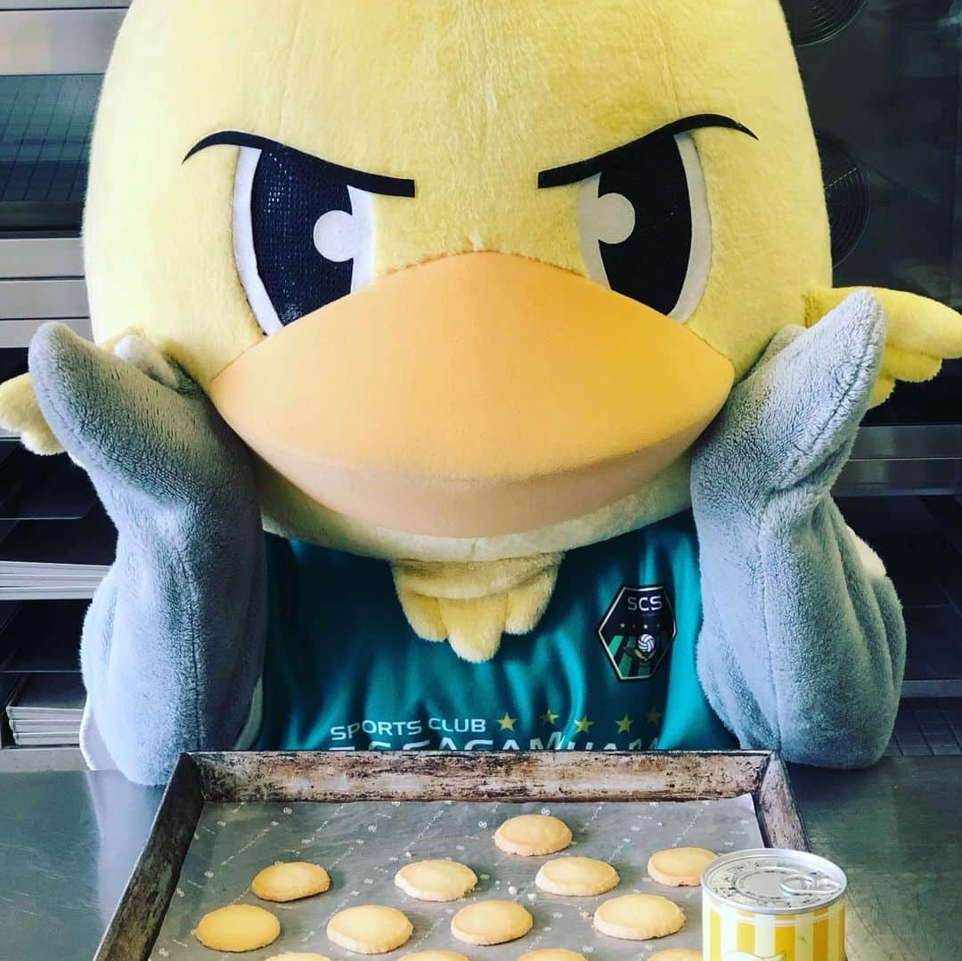 SC相模原さんのインスタグラム写真 - (SC相模原Instagram)「ココア味のガミティクッキー新発売🍪"ε(`•⊖•´)з" プレーンも美味しかったけど ココアはもっと美味しかったよ💛 みんなはどっちが好きかな？🍪 #ガミティ#クッキー#cookie#cocoa#手作り#ケーキ屋さん#SC相模原#jleague#jリーグ」7月26日 17時18分 - s.c.sagamihara_players