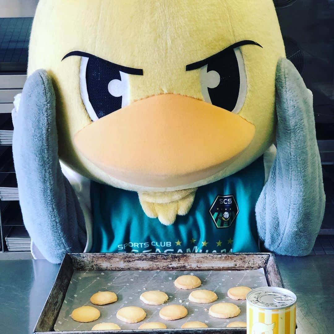 SC相模原さんのインスタグラム写真 - (SC相模原Instagram)「ココア味のガミティクッキー新発売🍪"ε(`•⊖•´)з" プレーンも美味しかったけど ココアはもっと美味しかったよ💛 みんなはどっちが好きかな？🍪 #ガミティ#クッキー#cookie#cocoa#手作り#ケーキ屋さん#SC相模原#jleague#jリーグ」7月26日 17時18分 - s.c.sagamihara_players