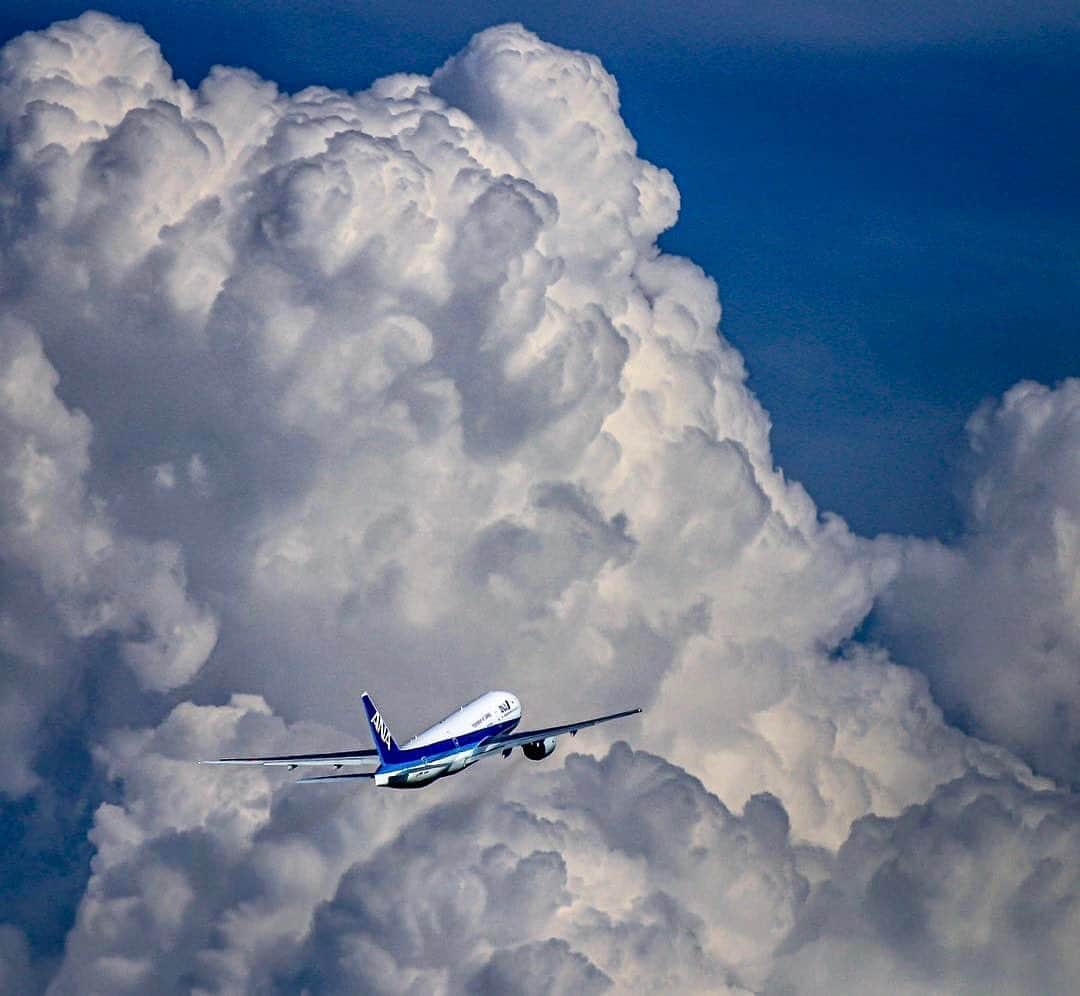 ANAさんのインスタグラム写真 - (ANAInstagram)「入道雲をすり抜けて✈️ （Photo：@ysk_nktks）  #雲 #入道雲 #もくもく #もくもく雲 #夏空 #夏雲 #風物詩 #飛行機 #青空 #晴れ #旅行 #旅行シーズン #夏休み #7月 #ソラマニ_ヒコーキ #clouds #bluesky #sky #travel #sunny #summer #trip #anaairplane #airplane #ana_jp  ANAの飛行機は「#ソラマニ_ヒコーキ」をつけて投稿してね🌞インスタやANAの各メディアでご紹介していきます🎵」7月26日 17時26分 - ana.japan