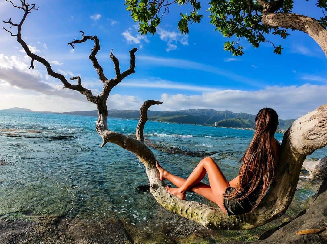 GoProさんのインスタグラム写真 - (GoProInstagram)「#ハワイ の海＋ダイヤモンドヘッドの絶景を独り占め。 📷 @cocomermaid808 ・ ・ ・ #GoPro #GoProJP #GoProのある旅 #海外旅行 #ダイヤモンドヘッド #海」7月26日 17時36分 - goprojp