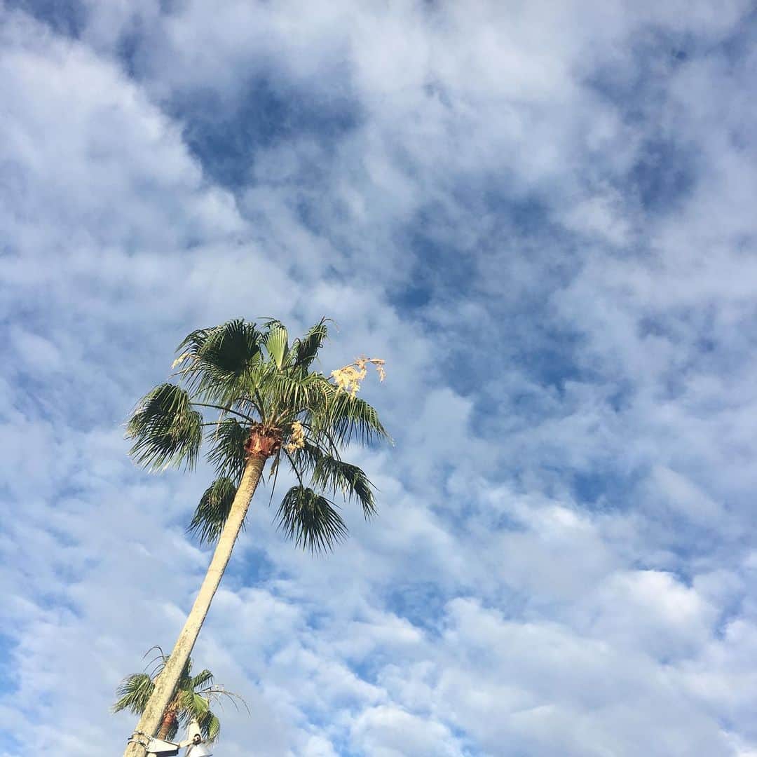 azumiのインスタグラム：「これからDJ @hotel_newotani_makuhari プールサイドで今日はブラジル、ディスコ、ジャズかな！プール日和！！！ お近くの方はぜひ🏊‍♂️」