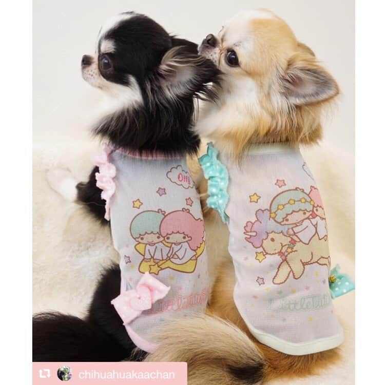 大原かおりさんのインスタグラム写真 - (大原かおりInstagram)「♡ #Part16 キキちゃん&ララちゃん @chihuahuakaachan #OttyDogタグリポスト 🐶💕 ☺︎ Otty商品をお取り扱いしてくださっている大阪市南堀江のペットショップ『キャラメルボックスさん』のお客様🐶💖 チワワのキキちゃんとララちゃんが〜🐶🐶🌟 キキ&ララのクールメッシュタンクをお揃いで着てくれました👏😝 キキララちゃんが…🐶🐶 キキララちゃんを着てくれて めちゃくちゃ嬉しい😍💞 ☺︎ お顔をくっつけて仲良くお揃いコーデ、可愛すぎるなぁ〜😝🌟🌟 ☺︎ メッシュ生地で通気性も良くクール加工&防虫加工されているので、これからの暑い季節にはオススメのアイテムです💁‍♀️🐶💖 ☺︎ キキちゃん&ララちゃんママ、可愛い写真をありがとうございます🐶💞 また遊んでね〜👯‍♀️🎶 * #チワワ #キキちゃん #ララちゃん #キャラメルボックス #キキララコラボ #LittleTwinStars #お揃いコーデ #双子コーデ #クール素材 #クークチュール #可愛い写真 #ありがとう #🐶❤️ ——————————💓🐶OttyDog🐶💓————— repost @chihuahuakaachan via @PhotoAroundApp ☆ ☆ だってーキキララ やし〜👫⭐️ 可愛すぎるー😍❤️ ☆ ☆ LALA⭐️KIKI #chihuahuas #kikilala  #キキララ #仲良し兄妹 #Sanrio #otty #loveotty ottydog ⭐️ @oharagaori_otty ⭐️ @caramelbox_ #chihuahua #chihuahualove #instachihuahua #chihuahuasofInstagram #Instagramdog #チワワ画像 #チワワ多頭飼い #ふわもこ部」7月26日 9時44分 - oharagaori_otty