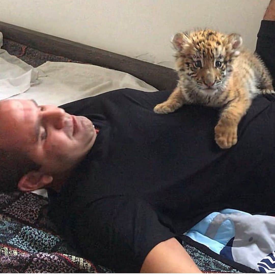 Black Jaguar-White Tiger さんのインスタグラム写真 - (Black Jaguar-White Tiger Instagram)「January 2nd. Luci Luli... #BabyLucianoBJWT #SaveTigers  @bofokaram」7月26日 9時58分 - blackjaguarwhitetiger