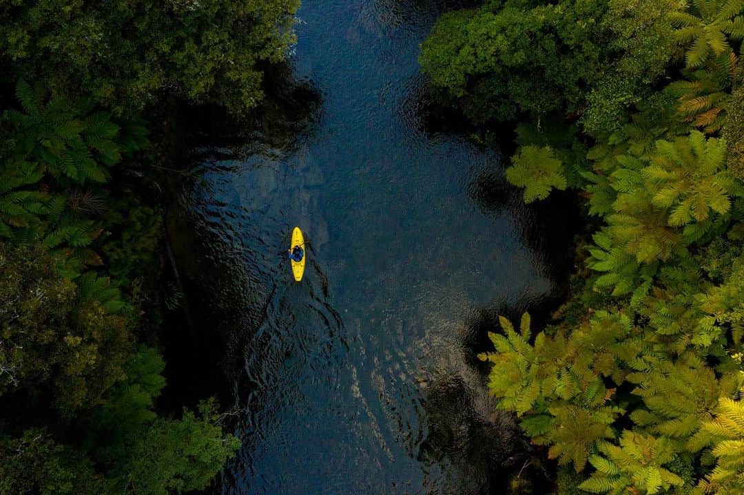 マイケル・ドーソンさんのインスタグラム写真 - (マイケル・ドーソンInstagram)「Ferns for breakfast 🙌 This river was in a spectacular part of New Zealand. Pretty much untouched native forest 🌳 . . #adventure #explore #nz #nzmustdo #purenz #flatwater #planetcanoe #rivers #kayak #wakabro #nrs #teamnrs」7月26日 10時04分 - mrmikedawson