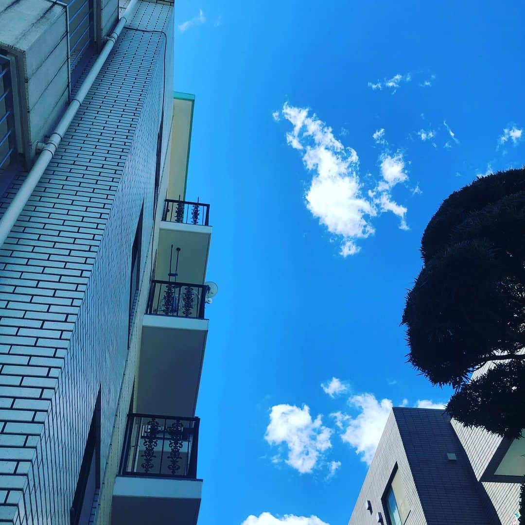 草刈民代さんのインスタグラム写真 - (草刈民代Instagram)「おはようございます！ #綺麗な空 だ〜！ #白い雲 #今日も一日頑張りましょう #草刈民代」7月26日 10時21分 - tamiyo_kusakari_official