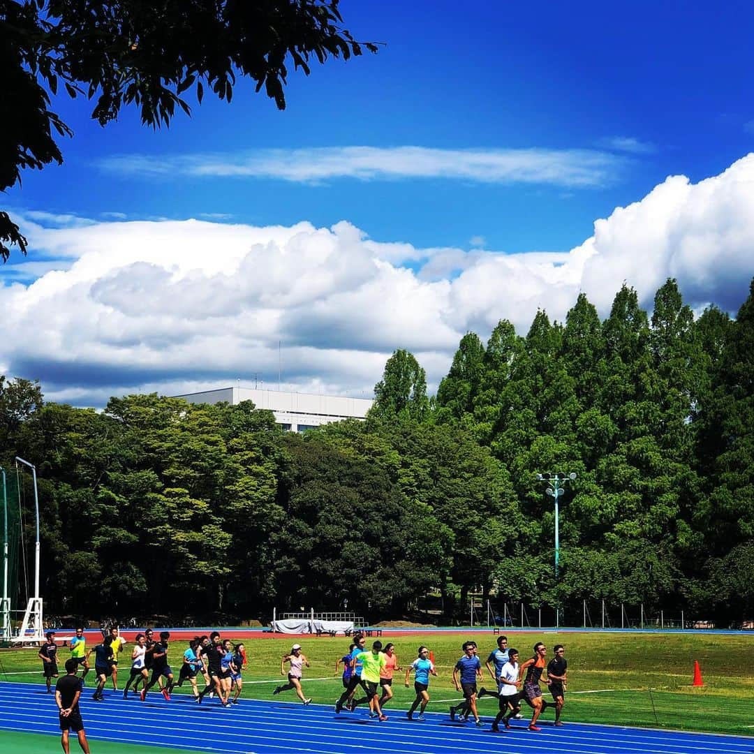 高野進のインスタグラム：「夏本番。 冷静に燃える季節。」