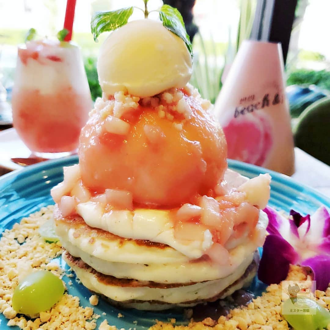 ミスター黒猫（黒猫仙人）のグルメインスタ