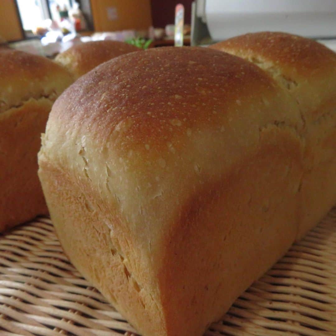 魔女菅原のグルメインスタ