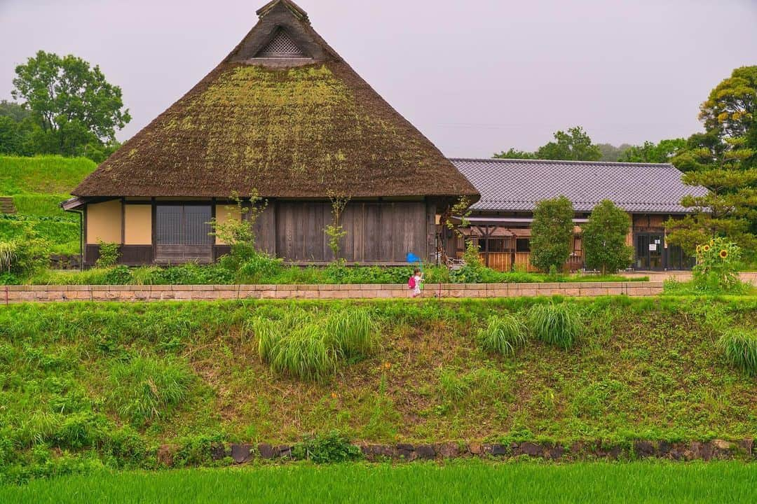 Satoyama推進コンソーシアムさんのインスタグラム写真 - (Satoyama推進コンソーシアムInstagram)「兵庫県⁠⠀ 彼女の名前は美里⁠⠀ ⁠⠀ 日本の原風景でもある日本昔話の様な里山が好きで、広大で美しい里山の様になってほしいそんな思いから名付けました。⁠⠀ ※Satoyamaフォトコンテスト2019代理投稿作品⠀⁠⠀ ⠀⁠⠀ #jtsatoyama2019⁠⠀ #フォトコンテスト⁠⠀ #フォトコン⠀⁠⠀ #写真⠀⁠⠀ #カメラ⠀⁠⠀ #里山⠀⁠⠀ #里海⠀⁠⠀ #風景⠀⁠⠀ #風景写真⠀⁠⠀ #日本の絶景⠀⁠⠀ #日本の美しい風景⠀⁠⠀ #田舎⠀⁠⠀ #田舎暮らし⠀⁠⠀ #photo⠀⁠⠀ #satoyama⠀⁠⠀ #satoumi⠀⁠⠀ #japan⠀⁠⠀ #landscape⠀⁠⠀ #japan_visit⠀⁠⠀ #Lovers_Nippon⠀⁠⠀ #daily_photo_jpn⠀⁠⠀ #naturephotography⁠⠀ #美里⁠⠀ #原風景⁠⠀ #日本昔話⁠⠀ ⁠⠀」7月26日 12時02分 - jt.satoyama_consortium