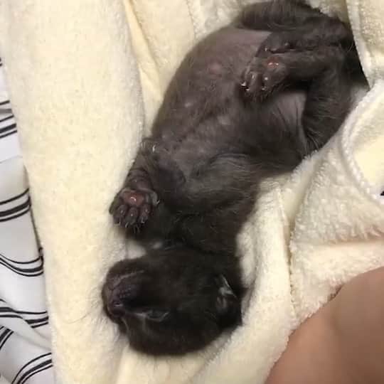 のインスタグラム：「かぁわいい😊💕💕」