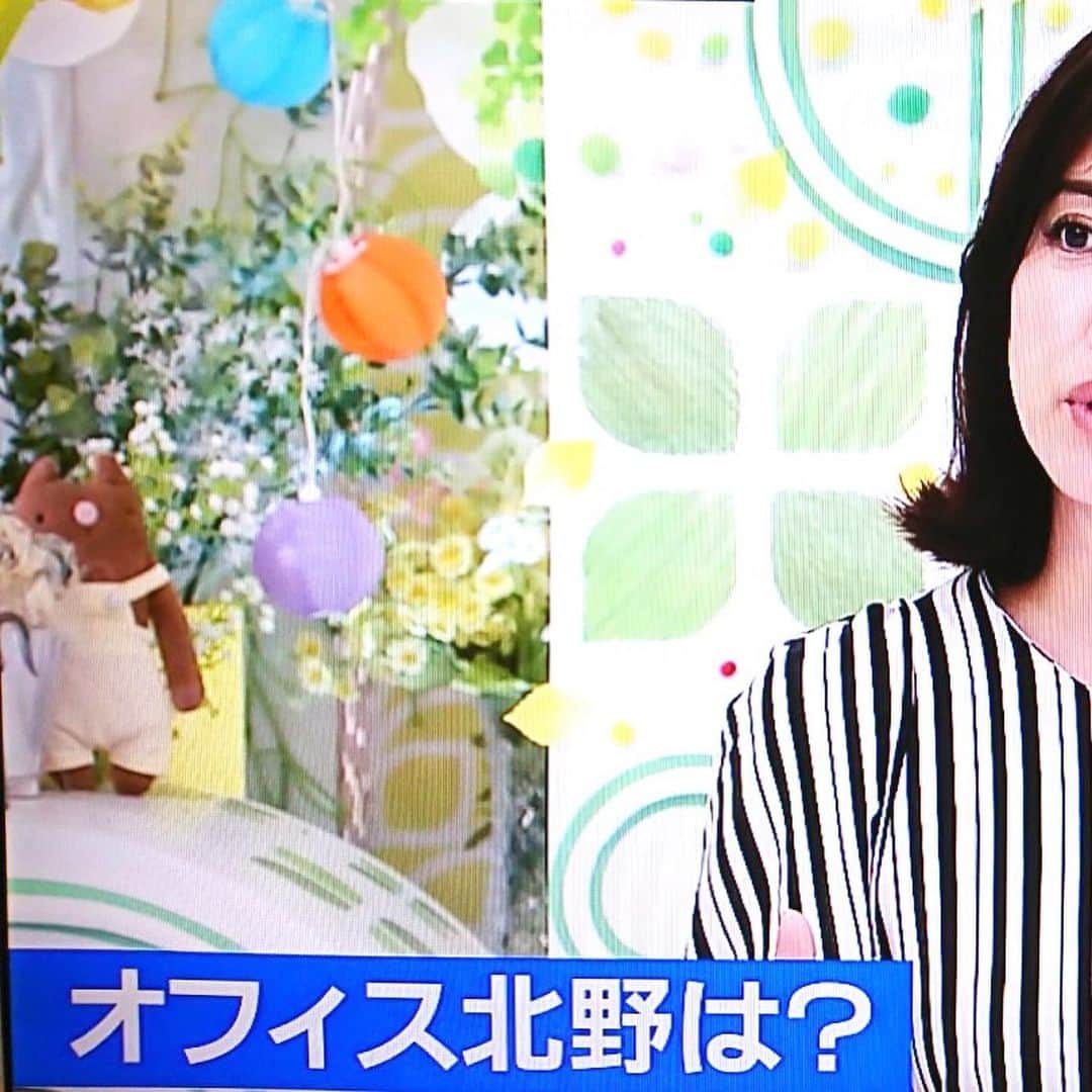 江口ともみさんのインスタグラム写真 - (江口ともみInstagram)「いのっちだよ‼️今朝のドデスカ探せシリーズ、みんな見つけられたかな？  オープニングから暫くは腕だけだった😅これで見つけられたら、もう君はフモ眼だね‼️ そのあとはさりげなくかあさんと森永さんの3ショットに入り込んだり、オフィス北野ってテロップ出た時は、カメラさんのご好意か、かあさんと2ショットだったよ😂  そのあとはかあさんの方からちょっと覗く心霊写真風と、最後はかあさんのお膝に座らせて貰ってちょい覗き✨楽しかったー‼️ 今日も暑い1日だけど、みんな熱中症に気を付けてねー☀️ #fumofumosan #フモフモさん #いのっち#メーテレドデスカ  #探せシリーズ」7月26日 12時26分 - tomomin.eguchi