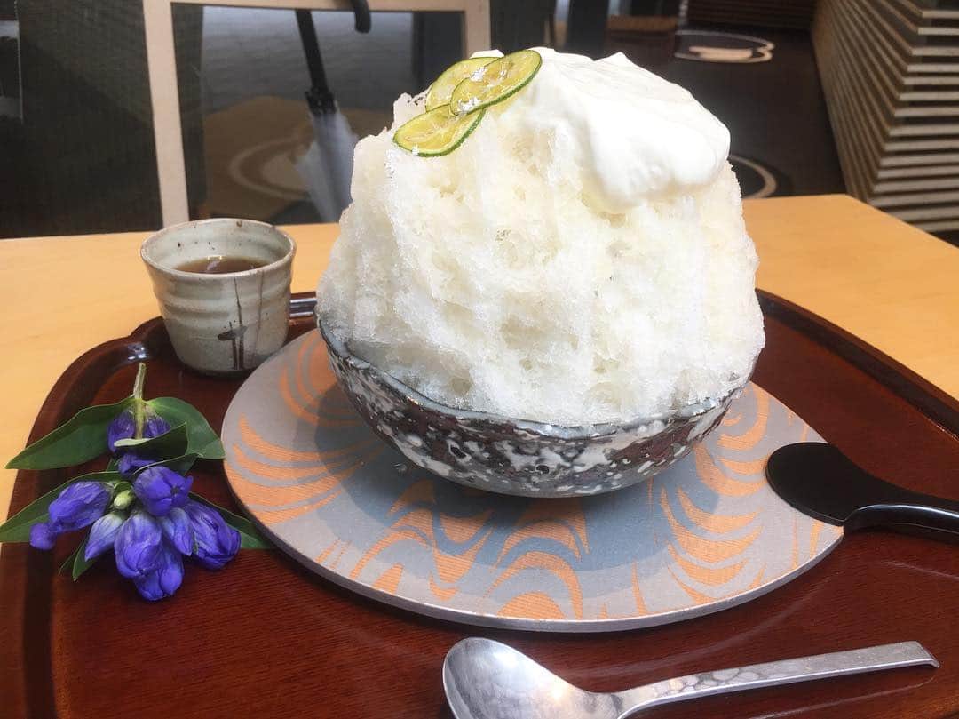 原田麻子さんのインスタグラム写真 - (原田麻子Instagram)「すだちーず  好きなものは毎日でも食べられるので…  #かき氷#おやつ#かき氷🍧#shaveice #sweets#ごはん記録」7月26日 12時35分 - achakoko
