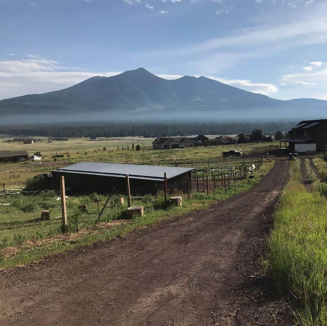 カイル・ガルナーさんのインスタグラム写真 - (カイル・ガルナーInstagram)「My time shooting interrogation in New Mexico for @cbsallaccess has come to an end, i have one more week in Los Angeles and then it’s complete. I finally got some family time in that was longer than 3 days! We spent a few days together in Albuquerque and now we are on the road back to Los Angeles. Took a stop at the Grand Canyon today, took walks around where we are staying, had root beer floats, explored flagstaff and bought books and magic trinkets. It’s just the recharge I needed before the final push. See you soon LA.」7月26日 12時35分 - kylegface