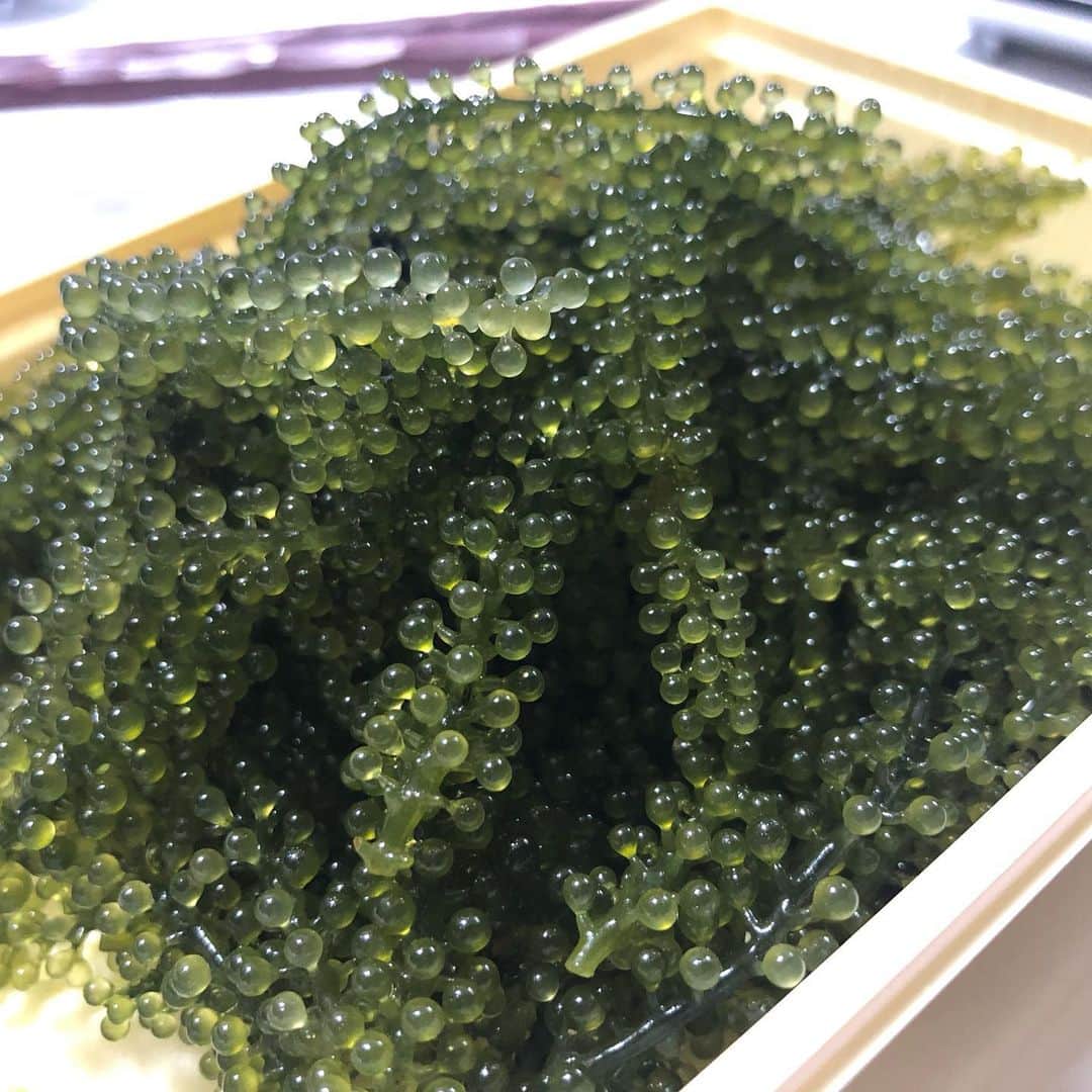 山本華世さんのインスタグラム写真 - (山本華世Instagram)「お土産。わざわざ、ありがとう。沖縄でもお仕事‼️ご縁に感謝。  #バータービレッジ #お声がけに感謝  #山本カヨ #生涯労働 #ネットテレビ  #youtuber デビュー #大人が楽しむ沖縄 #沖縄」7月26日 12時53分 - kayo_092