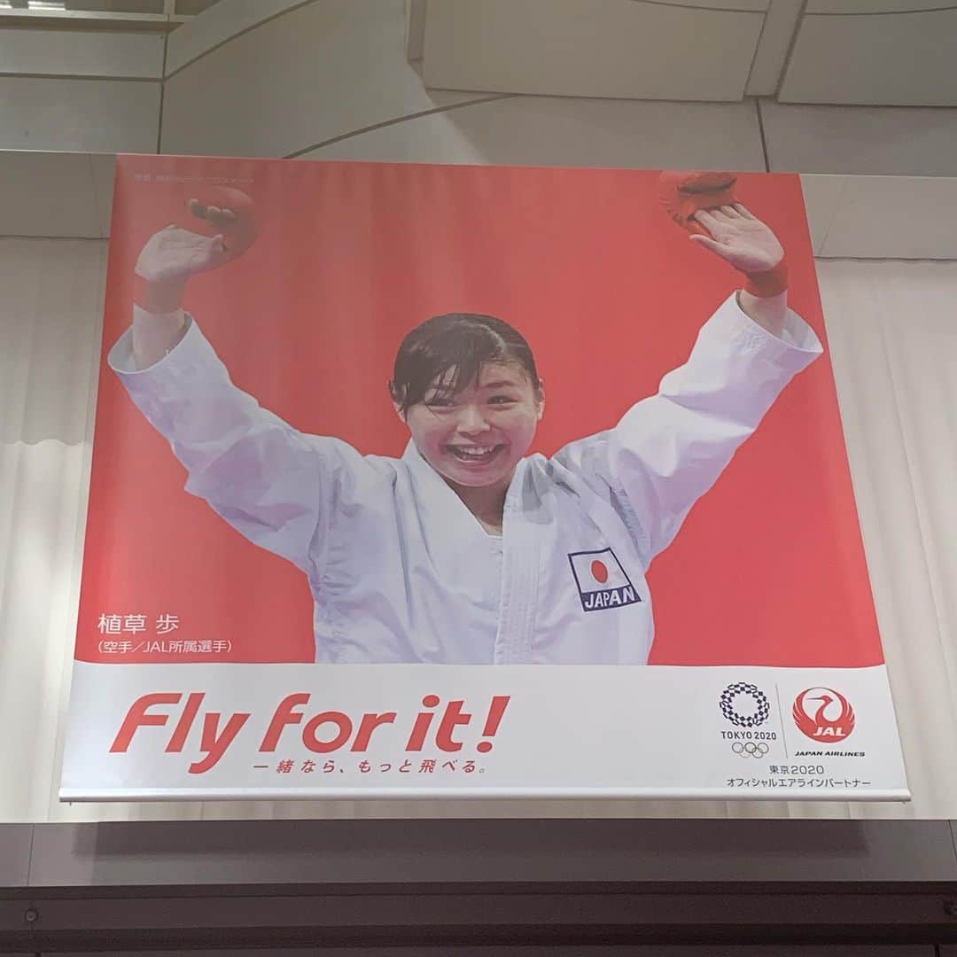 植草歩さんのインスタグラム写真 - (植草歩Instagram)「空港でうちのこと探してね❤️❤️❤️ Fly for it ! 一緒ならもっと飛べる。 #JAL」7月26日 13時06分 - ayayumin0725