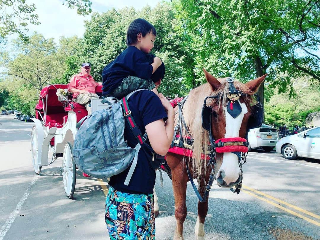 アレクサンダーさんのインスタグラム写真 - (アレクサンダーInstagram)「みんなで馬車❤️ 馬さん #セントラルパーク #NY」7月26日 13時11分 - alexanderfriends