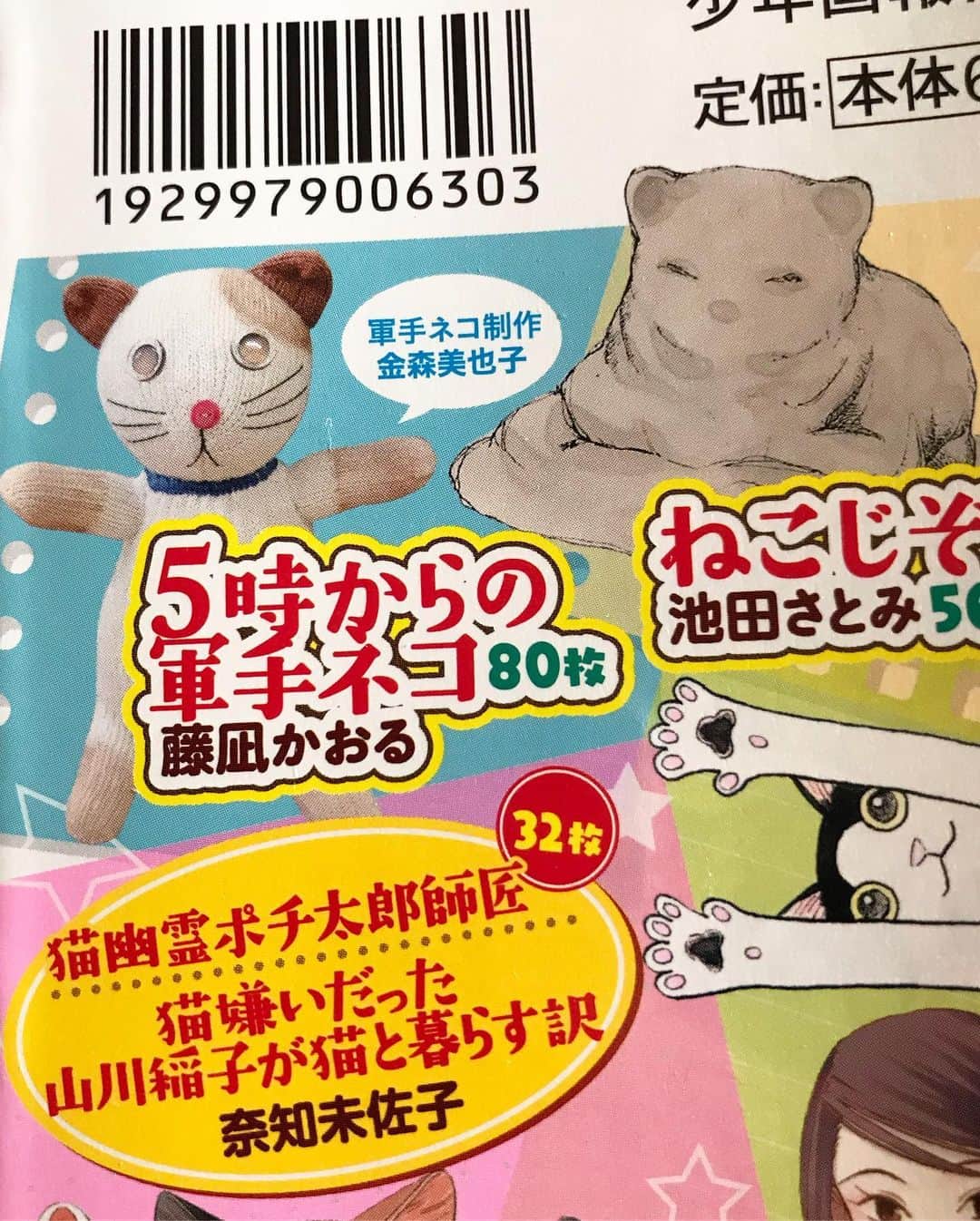 山田稔明さんのインスタグラム写真 - (山田稔明Instagram)「またポチとポチ実、猫情報なのですが、以前「はしもとみお彫刻日誌 木彫り猫の息吹」で僕と愛猫を漫画化していただいた2エピソード分が同時再録で一気に読めるコミック『ねこぱんち』7月29日に発売とのことです。さらさらに描いていただいてます。ぜひコンビにで手にとってご覧ください。軍手チミ猫作ってくれた金森美也子さんを描いた「5時からの軍手ネコ」も載ってる。 #山田ポチ #ポチ実 #ねこぱんち」7月26日 13時13分 - toshiakiyamada