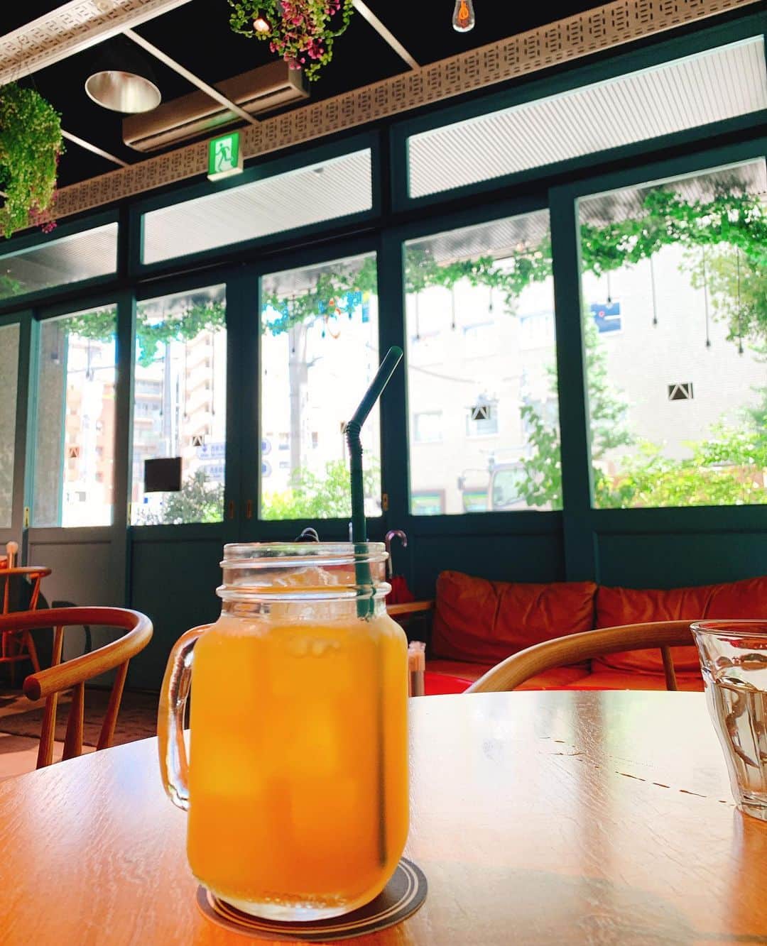 樫原伸彦のグルメインスタ