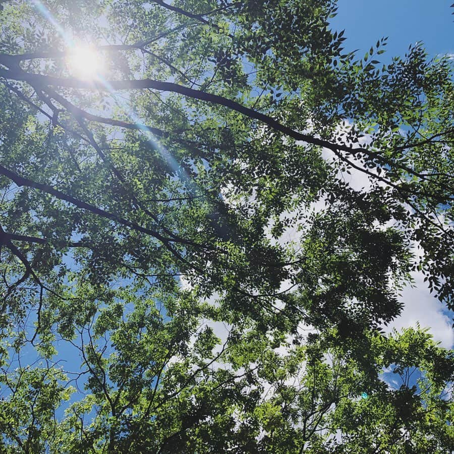 石川亜沙美さんのインスタグラム写真 - (石川亜沙美Instagram)「気持ち良い青空☀️ ・ 今日も朝から 大好きな ミキちゃんと撮影DAY @miki_guutaramama ・ 暑いけど 気持ち良いな💓 嬉しいな💓 ・ ・ #撮影日和  #🌿☀️ #今日も #お疲れさまでした #☺️ #2019.07.26」7月26日 13時38分 - asamiishikawa1016