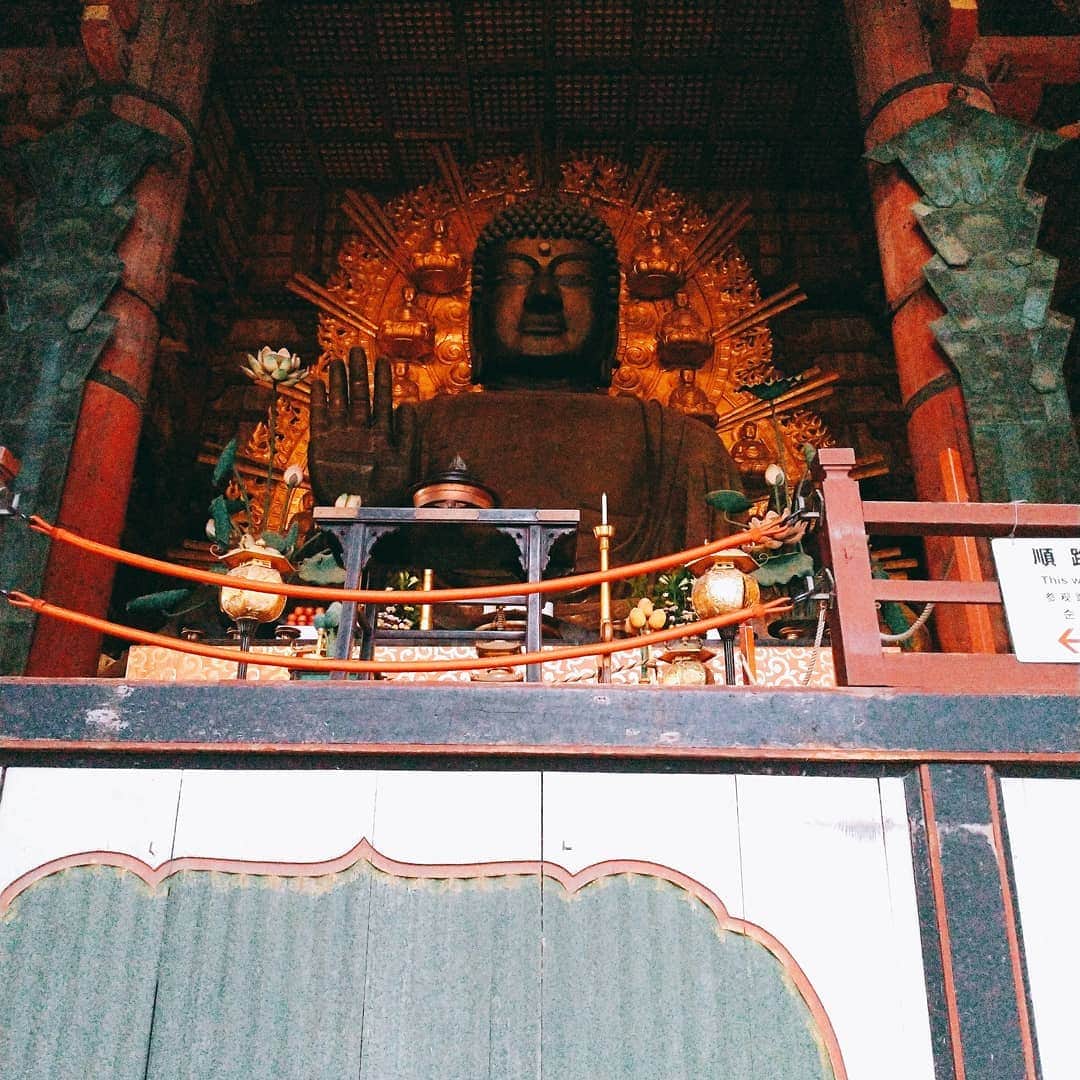 北新地｢鶏割烹ならや｣のグルメインスタ