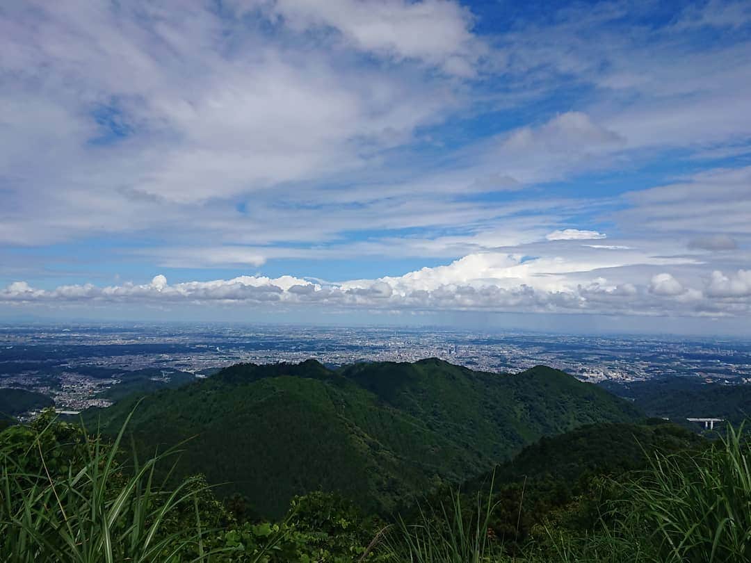 桜花のグルメインスタ