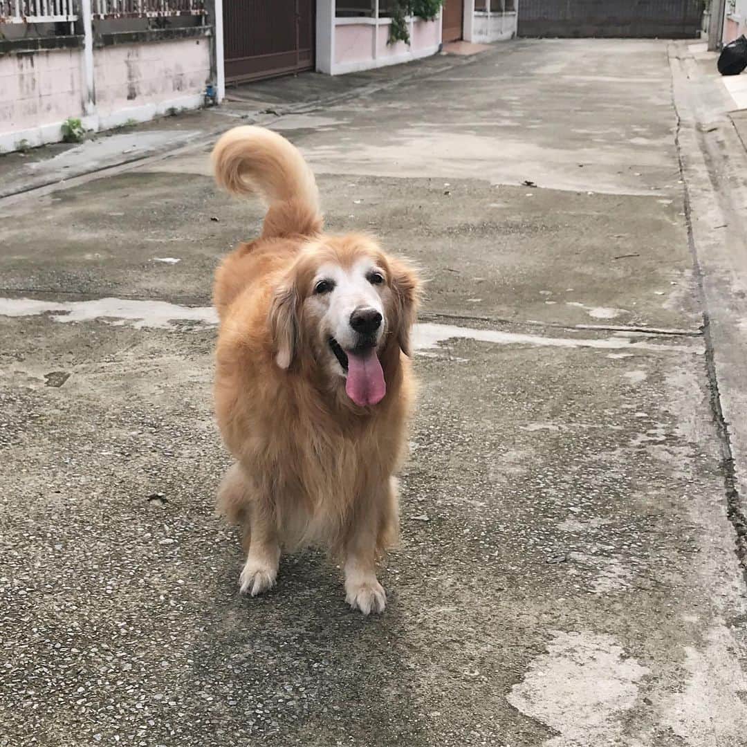 Hoykong&Plamuekのインスタグラム：「Happy Friday everyone!! ❤️ #hoykong」