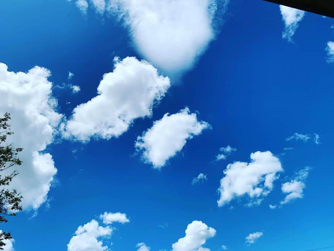 小田和奏さんのインスタグラム写真 - (小田和奏Instagram)「東京の空も青。」7月26日 15時00分 - kazusou