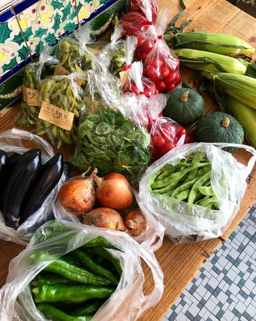 CHIPPRUSONのインスタグラム：「今週も野菜モリモリ… 今週よりとうもろこしはフランク菜ッパ。ナス、ジャガイモ、玉ねぎ、万願寺とうがらし、モロッコインゲンは @amatsuchiorganica 天土ORGANICA。バジル、黒豆枝豆、プチトマト、坊ちゃんカボチャは @vejisara.sha ベジサラ舎より🎵」