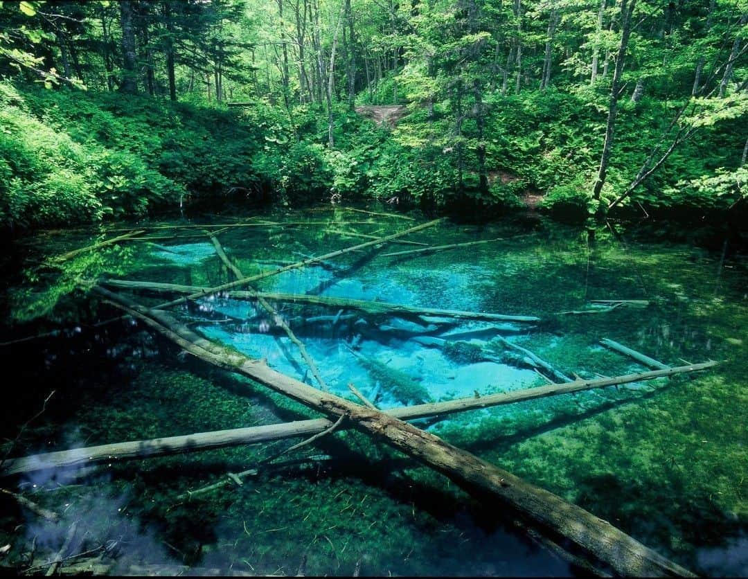 日本の国立公園さんのインスタグラム写真 - (日本の国立公園Instagram)「Akan-Mashu National Park is located in eastern Hokkaido and is one of the longest-established parks in the Hokkaido region. Most of the park area is covered in natural forest comprising mainly subarctic mixed coniferous forest that is said to be some of the most primeval forests of all the national parks in Japan.⠀ .⠀ #AkanMashuNationalPark⠀ .⠀ https://www.japan.travel/national-parks/parks/akan-mashu/⠀ .⠀ Japan is an island nation full of vibrant nature and diverse landscapes.⠀ Magnificent mountains, frozen waterfalls, green forests, active volcanoes, blue oceans and endemic wildlife inspire curiosity and wonder.⠀ All of these natural assets are preserved in the national parks of Japan. Spend time in pristine natural environments and make memories in Japan's 34 National Parks.」7月26日 16時00分 - nationalpark_japan