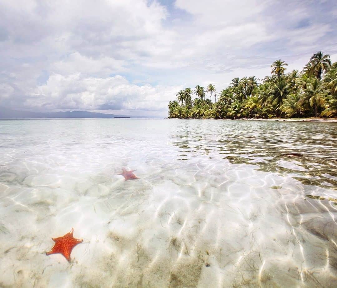 National Geographic Travelさんのインスタグラム写真 - (National Geographic TravelInstagram)「Photo by @andrea_frazzetta | “Las Estrellas,” a tiny island with in the San Blas Archipelago, is famous for its seabeds populated by starfish. The archipelago of San Blas consists of hundreds of small islands. Approximately 365 islands and cays, of which only 49 are inhabited. They lie off the north coast of the Isthmus of Panama, east of the Panama Canal. A part of the comarca (district) Guna Yala along the Caribbean coast and home to the Kuna Indians. San Blas and its surrounding area is a haven for ecotourists because of its pristine environs. To see more photos from my travels, follow me @andrea_frazzetta #Panama #ocean #sanblas」7月26日 16時01分 - natgeotravel