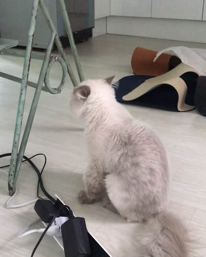 のインスタグラム：「_ 아유 요 수다쟁이씨 밖에 다 젖어서 못 놀아요,아가 #김탱고탱탱볼마마냥꼬먹깨비눈꼽쟁이쪼꼬쪼꼬탱탱」