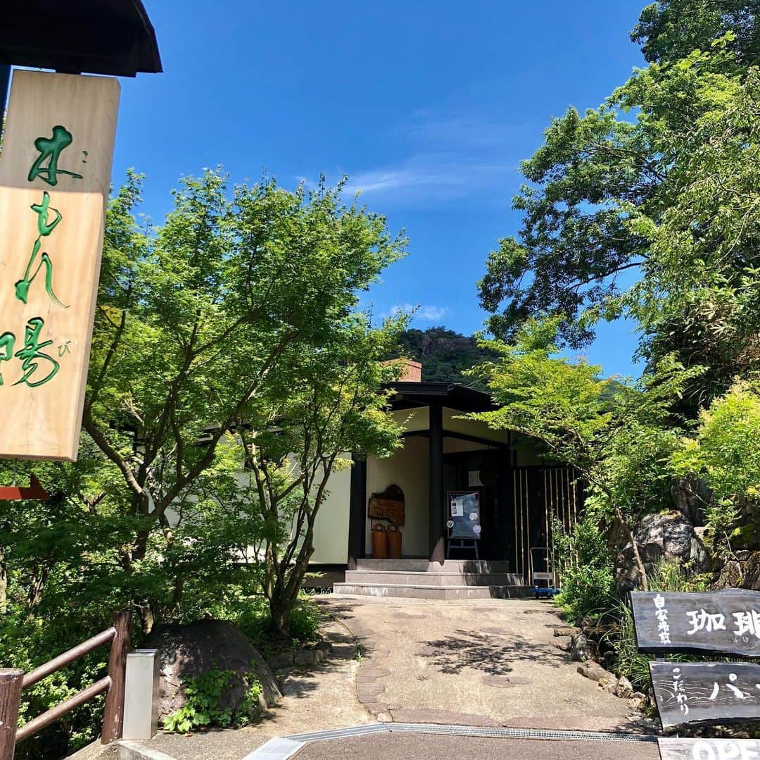 薬丸裕英さんのインスタグラム写真 - (薬丸裕英Instagram)「穴場CAFE「木もれ陽」  #穴場カフェ  #佐賀県有田町  #伊万里焼カップ」7月26日 16時04分 - hirohide.yakumaru