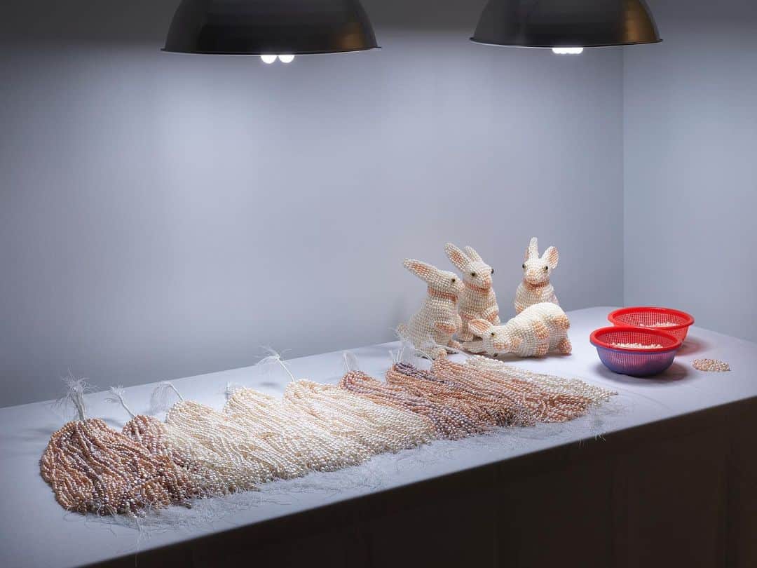 ニュー・ミュージアム・オブ・コンテンポラリー・アートさんのインスタグラム写真 - (ニュー・ミュージアム・オブ・コンテンポラリー・アートInstagram)「Mika Rottenberg’s "NoNoseKnows" (2015), which premiered at the 56th Venice Biennale, investigates the process of cultured pearl manufacturing, in which oysters are deliberately infected to produce pearls. The work illuminates the absurd labor practices that drive the globalized capitalist economy, honing in on the perversions that inhabit the space where the biological and the industrial collide. This work is on view as part of "Mika Rottenberg: Easypieces," up through September 15. #MikaRottenberg ⠀⠀⠀⠀⠀⠀⠀⠀⠀⠀⠀⠀ Photo: Dario Lasagni」7月27日 2時23分 - newmuseum
