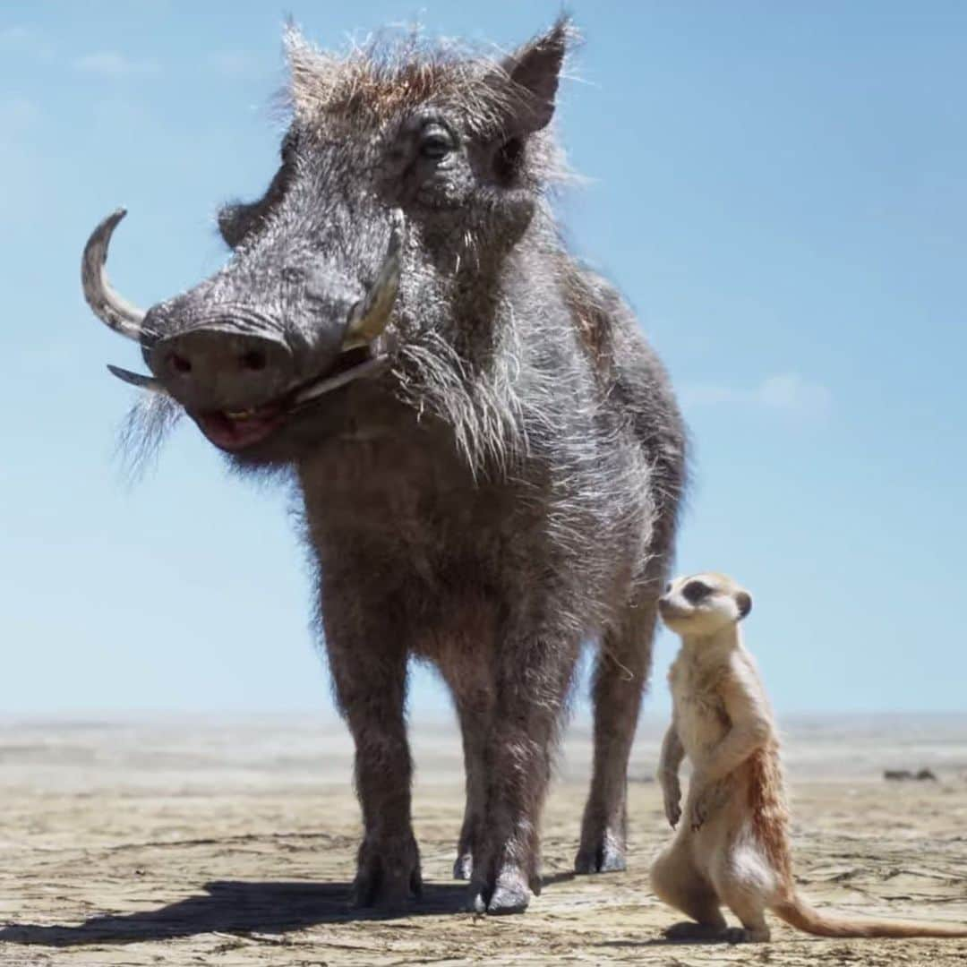 ビリー・エイチュナーさんのインスタグラム写真 - (ビリー・エイチュナーInstagram)「I’ve got your Presidential ticket right here. #TimonPumbaa2020」7月27日 2時38分 - billyeichner