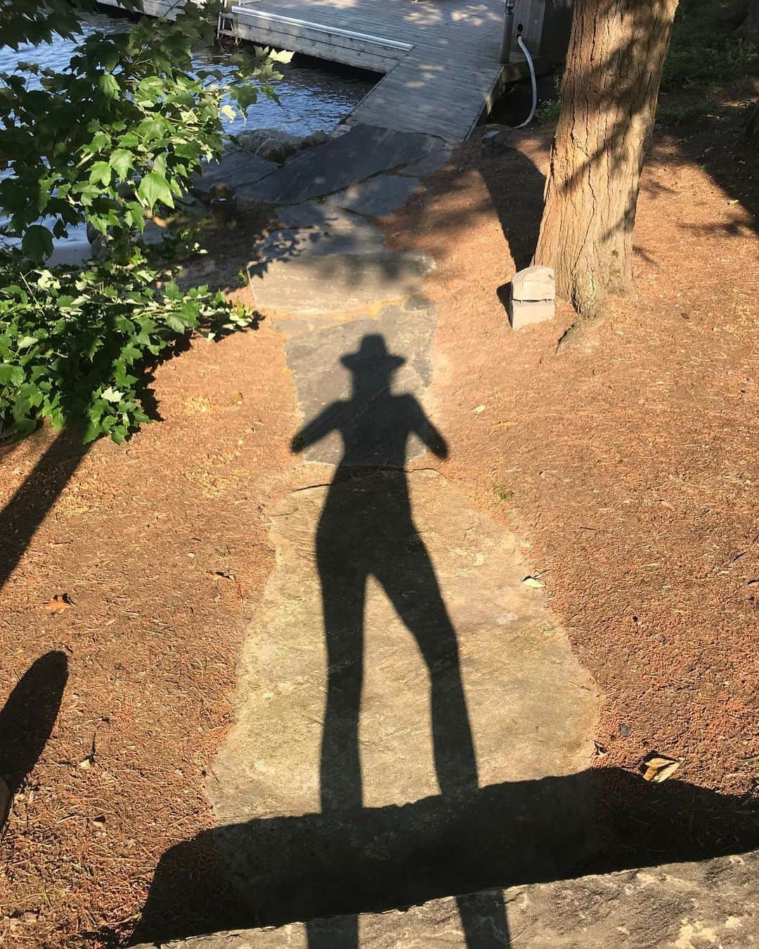 シンディ・クロフォードさんのインスタグラム写真 - (シンディ・クロフォードInstagram)「summer silhouette」7月27日 2時32分 - cindycrawford