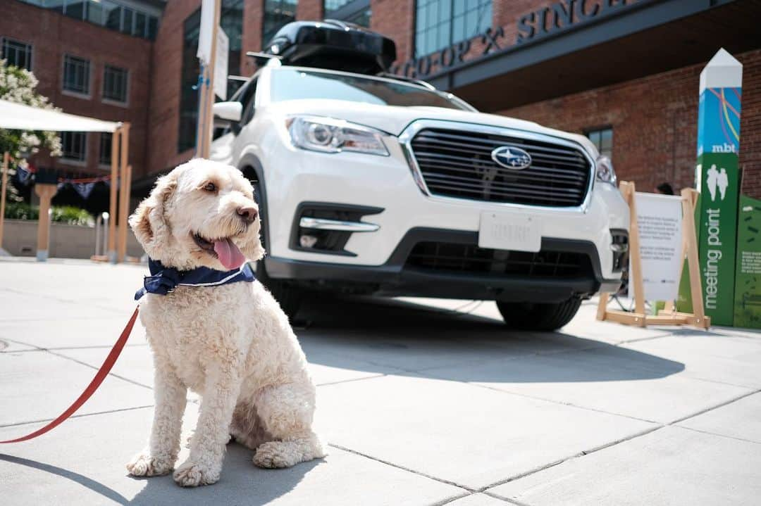 Subaru of Americaさんのインスタグラム写真 - (Subaru of AmericaInstagram)「We’re here all weekend long in Washington D.C. for the Subaru Road Trip at @rei. Check out our Subaru SUV fleet, show us your ride and grab some Subaru swag! For future dates, visit Subaru.com/REI.」7月27日 3時06分 - subaru_usa