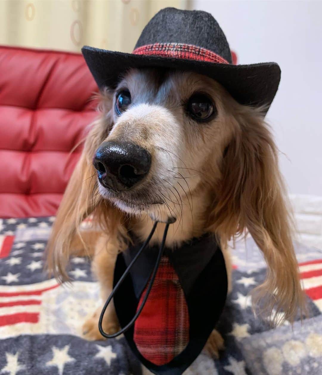 向日葵?のグルメインスタ