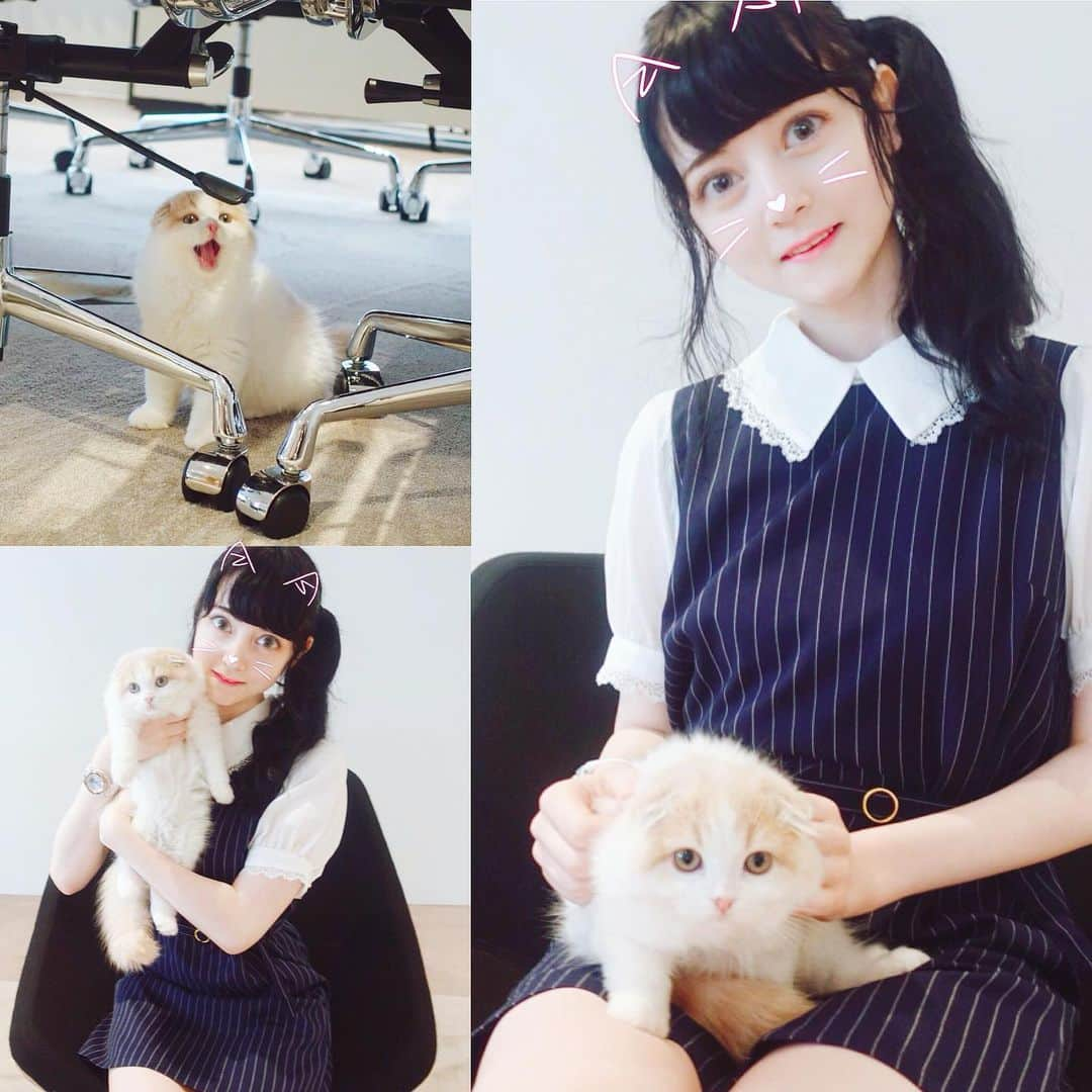 ビーナス・アンジェリックさんのインスタグラム写真 - (ビーナス・アンジェリックInstagram)「Meet @marshmallow_presscat, the official press director of Japanese fashion brand @snidel_official 👀💖 Yesterday she showed me the new fall collection of Snidel, Lily Brown, Mila Owen and USAGI ONLINE...It’s the middle of summer but now I can’t wait for the weather to get cold! 😤 【日本語】 Snidel, Lily Brown, Mila Owen, FRAY I.DとUSAGI ONLINEの展示会にて、プレス担当の@marshmallow_presscatにお会いさせて頂きました！展示会の秋/冬ファッションの圧倒的な可愛さに痺れた💗 寒くなるのが待ち遠しい...❄️ #Snidel #LilyBrown #MilaOwen #frayid #USAGIONLINE #じぇらぴけ #gelatopique #ねこ好き #ねこらぶ #ねこ部 #かわいいねこ」7月26日 19時14分 - venus_angelic