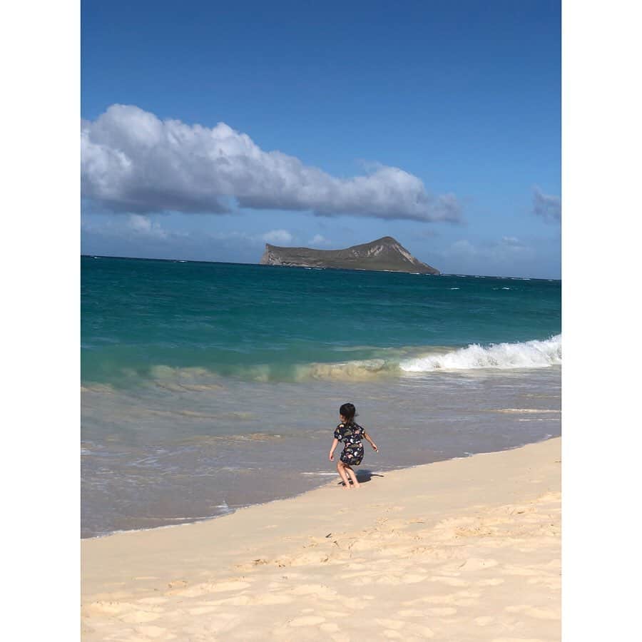 栗原佐知子さんのインスタグラム写真 - (栗原佐知子Instagram)「✴︎ Sea Life Park🐠 👇 Waimanalo  Beach🏄‍♀️ . . 💙💙💙 . #vacation #hawaii #waimanalo #waimanalobeach #sealtfriends #family #weekend #instadaily #instalike #instagood #instapic #instatravel #ハワイ」7月26日 19時17分 - sachiko__kurihara