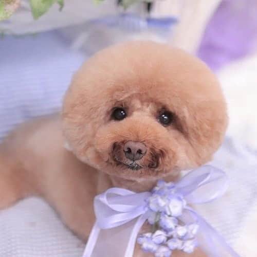 keikobun34のインスタグラム