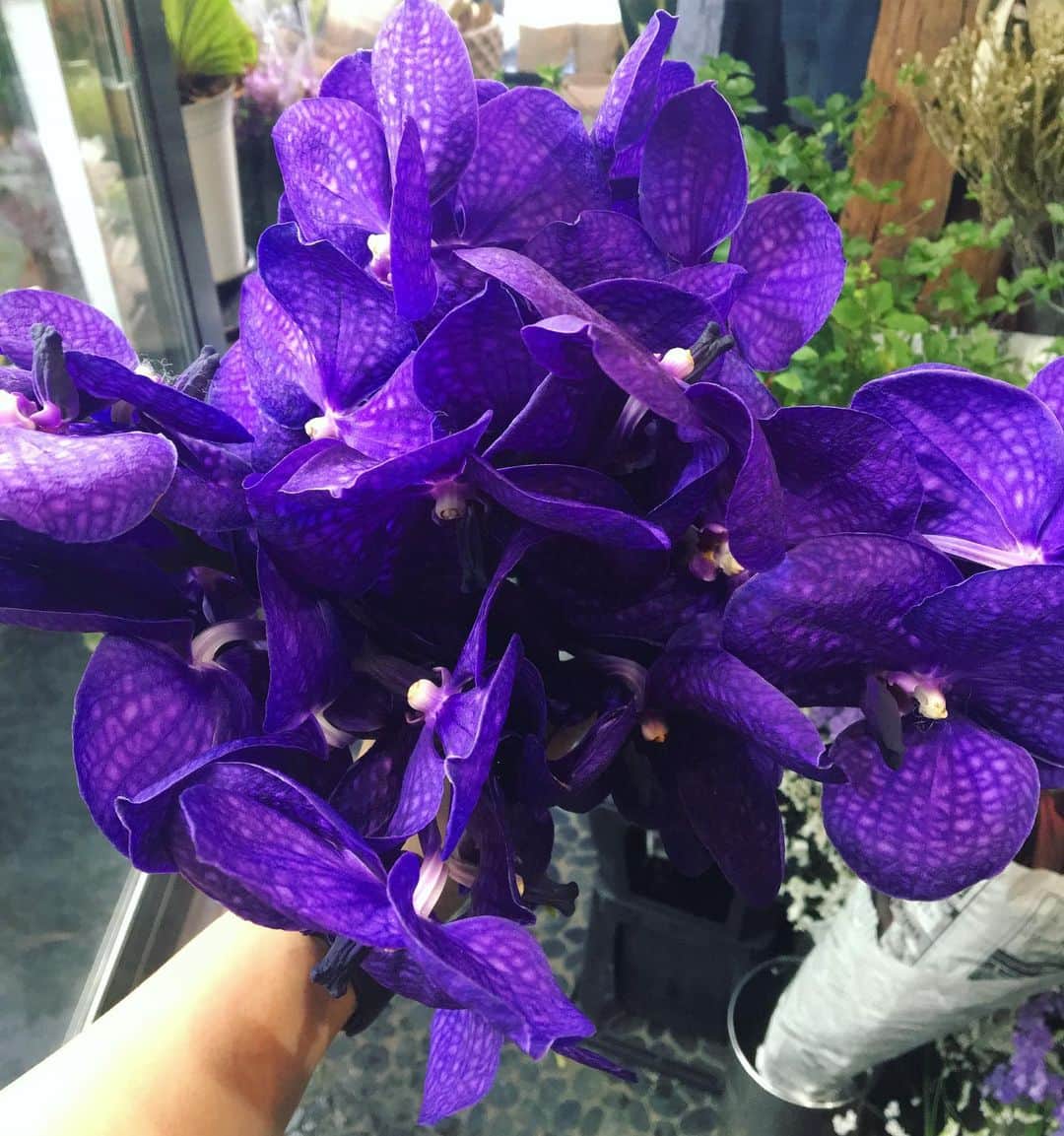 MILLE ECLAT.のグルメインスタ