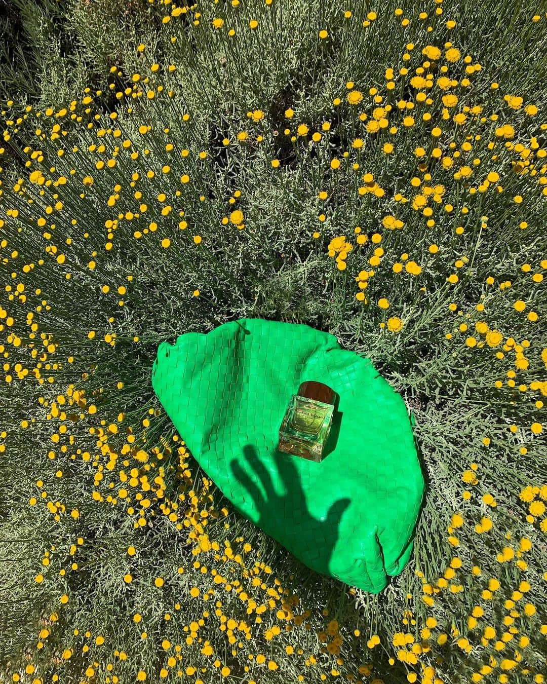 ガラ・ゴンザレスさんのインスタグラム写真 - (ガラ・ゴンザレスInstagram)「Lucky charm 🍀. Now imagine trying to lie on top of a cloud of flowers, that’s exactly what the new @bottegaveneta frangance will make you feel like #bottegavenetafragrances #Illusione #ad」7月26日 21時09分 - galagonzalez